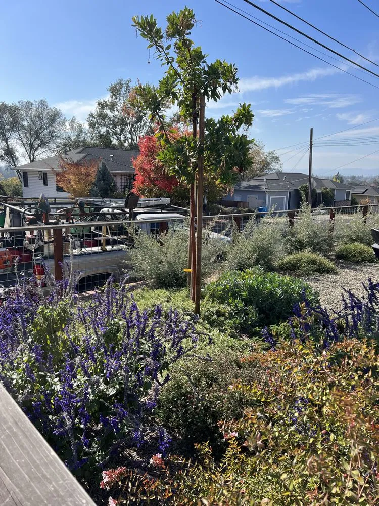 Expert residential landscaping in Sonoma, CA - Wine Country Landscaping