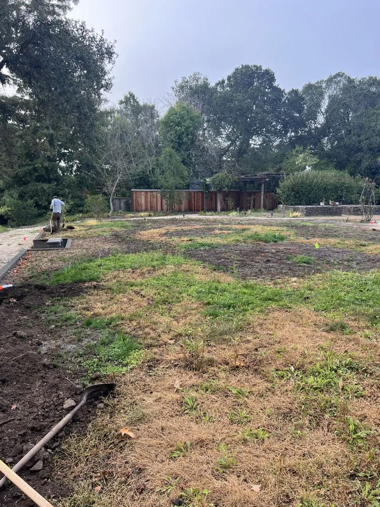 Custom outdoor landscaping in Sonoma, CA - Wine Country Landscaping