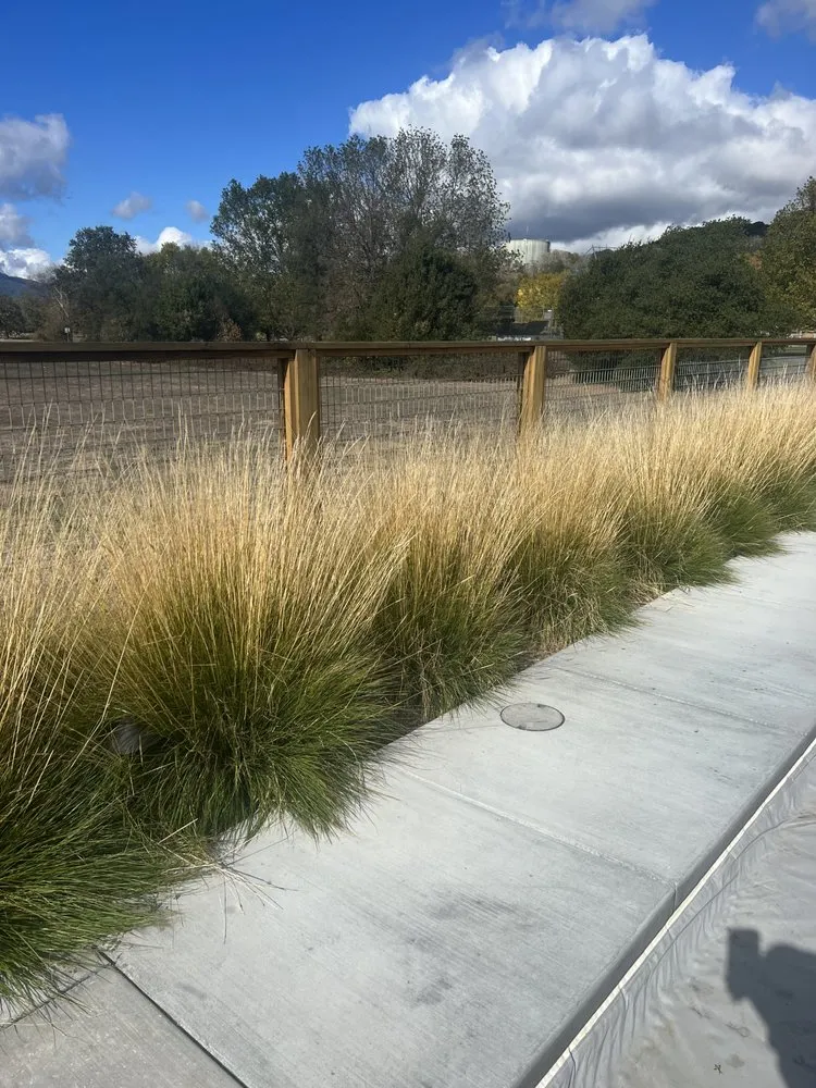 Local yard cleanup service in Sonoma, CA by Wine Country Landscaping