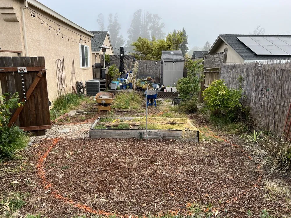 Trusted lawn care service experts serving Sonoma, CA - Wine Country Landscaping