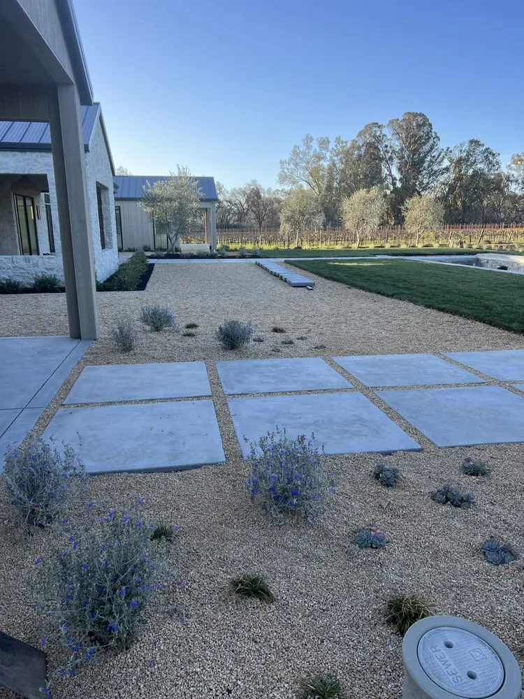 Top-rated yard cleanup service experts serving Sonoma, CA - Wine Country Landscaping