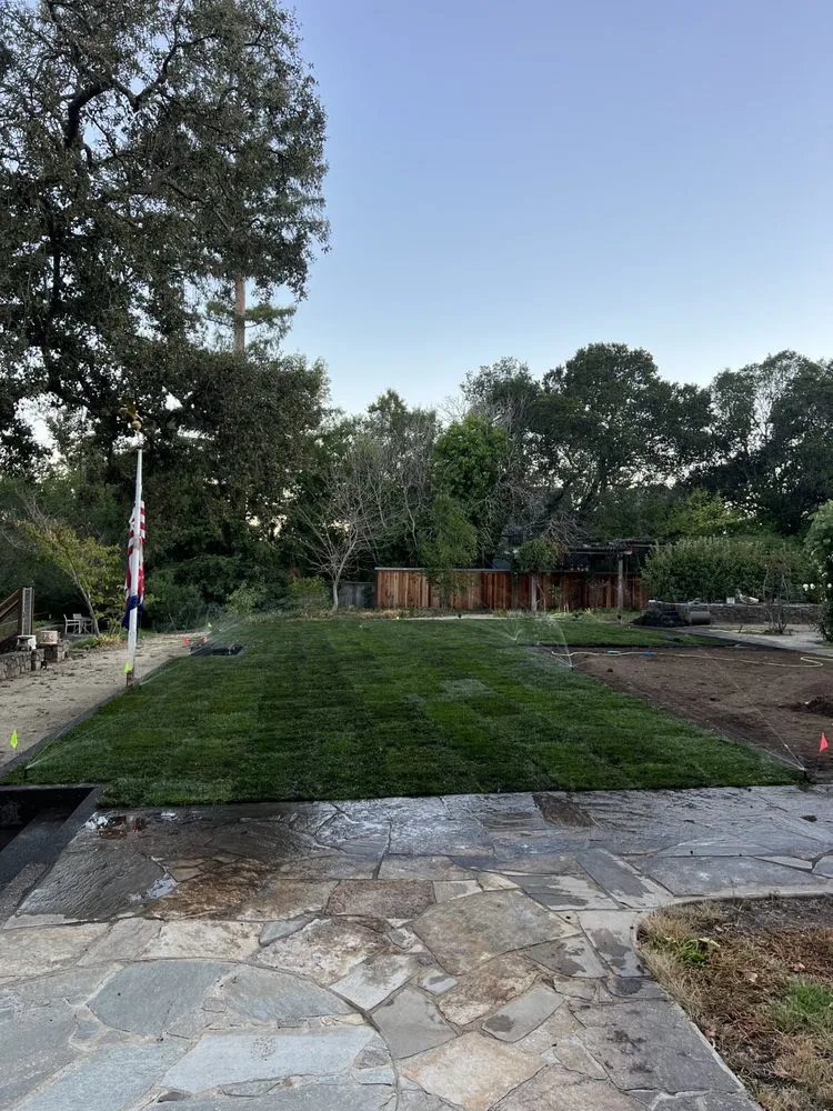 Custom yard maintenance near you in Sonoma, CA by Wine Country Landscaping