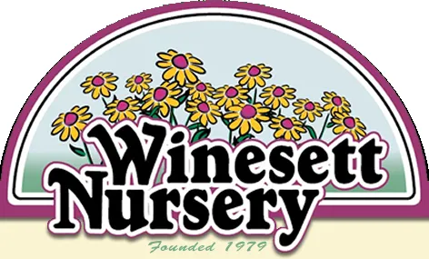Affordable landscape installation for year-round maintenance across Virginia Beach, VA - Winesett Nursery and Landscaping