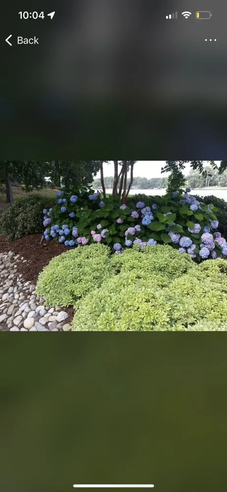 Trusted landscaping services in Virginia Beach, VA by Winesett Nursery and Landscaping