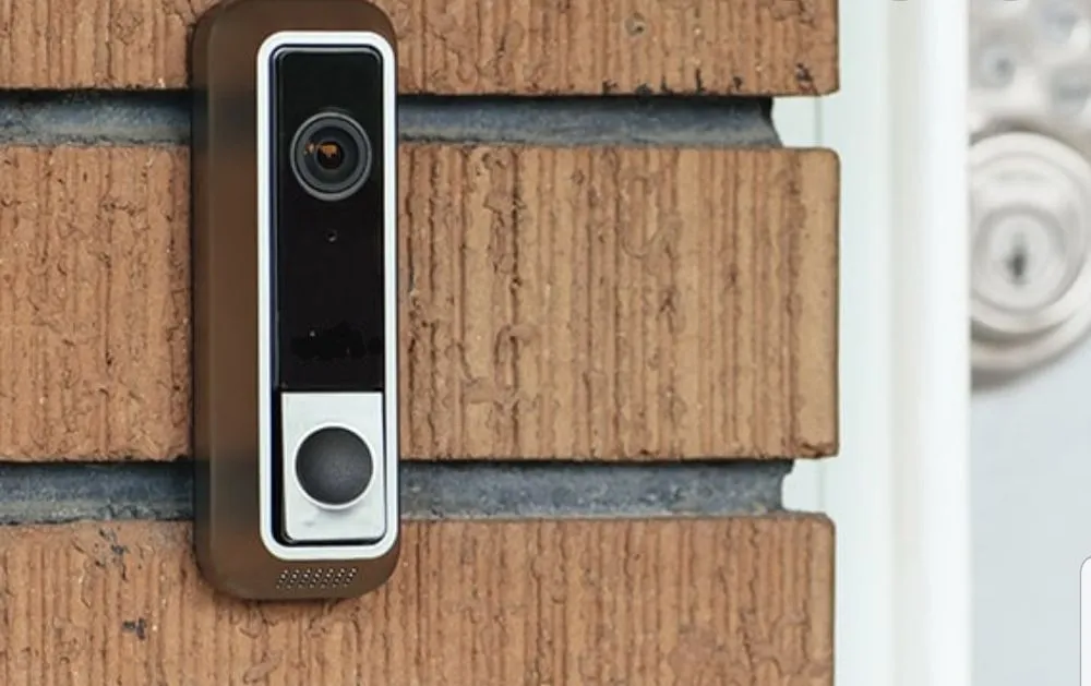 Custom yard cleanup service in Dayton, OH - Winford Solutions