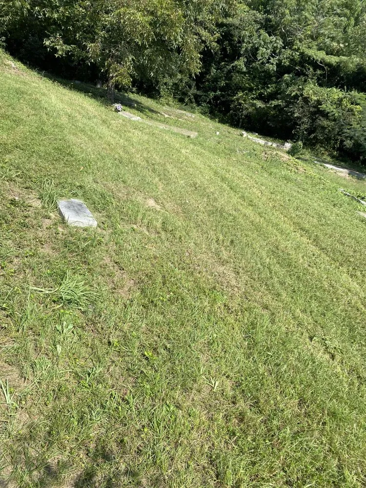 Expert yard maintenance near you in Decatur, GA by Wingard’s Pressure Washing Services