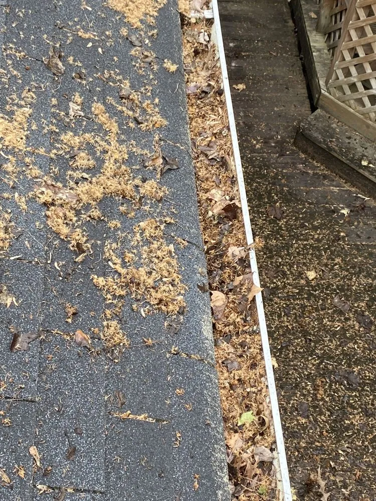 Local outdoor landscaping in Decatur, GA by Wingard’s Pressure Washing Services