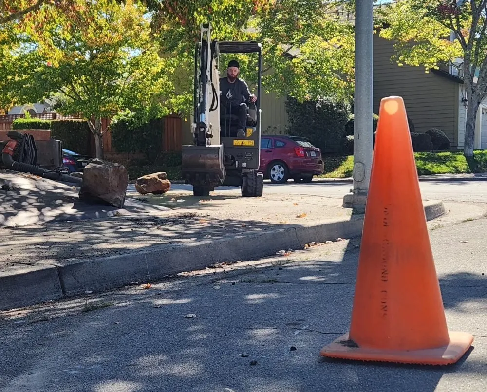 Professional lawn care service experts serving Occidental, CA - Winglewich Landscape Contracting