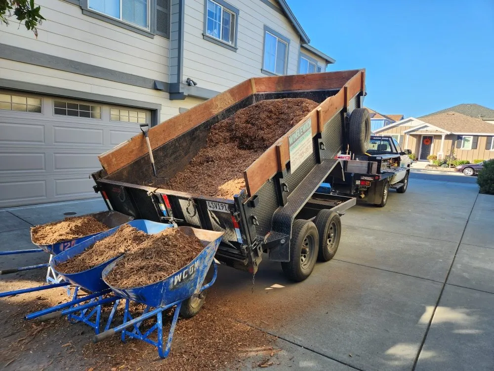 Expert yard maintenance in Occidental, CA by Winglewich Landscape Contracting