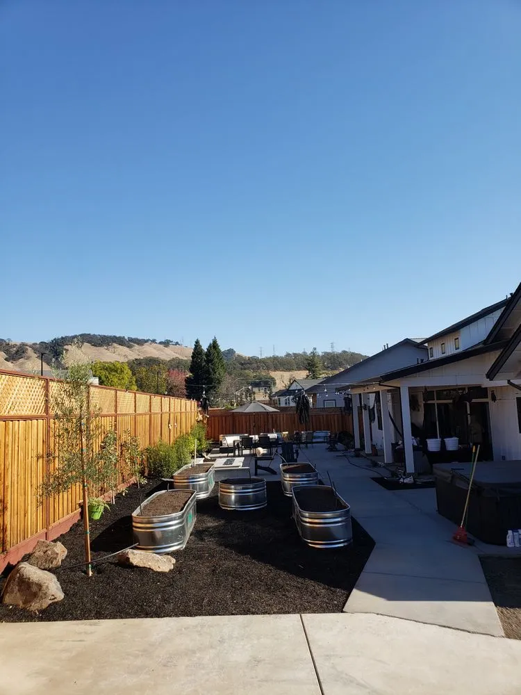 Affordable yard maintenance for year-round maintenance in Occidental, CA by Winglewich Landscape Contracting