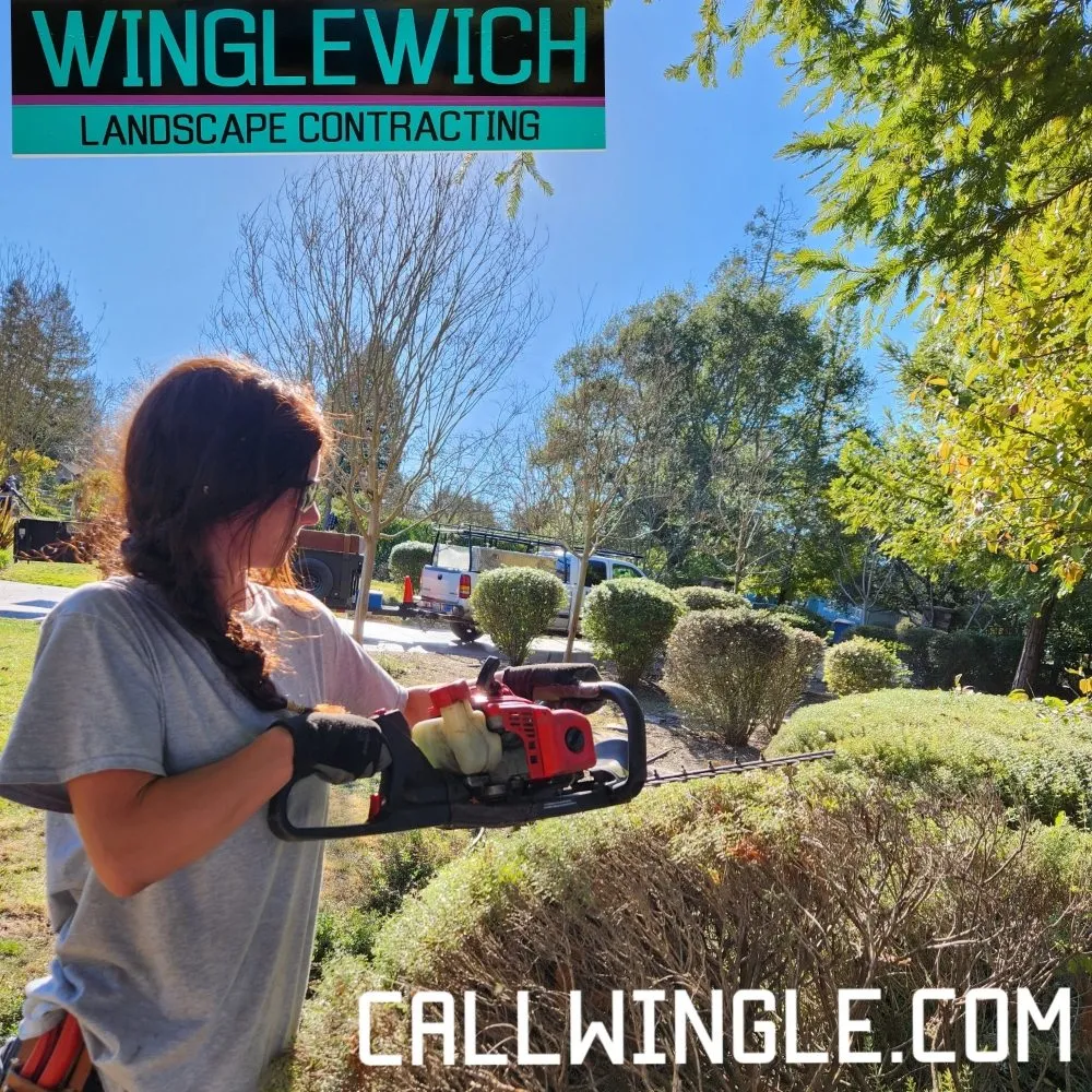 Trusted lawn care service for beautiful yards in Occidental, CA by Winglewich Landscape Contracting