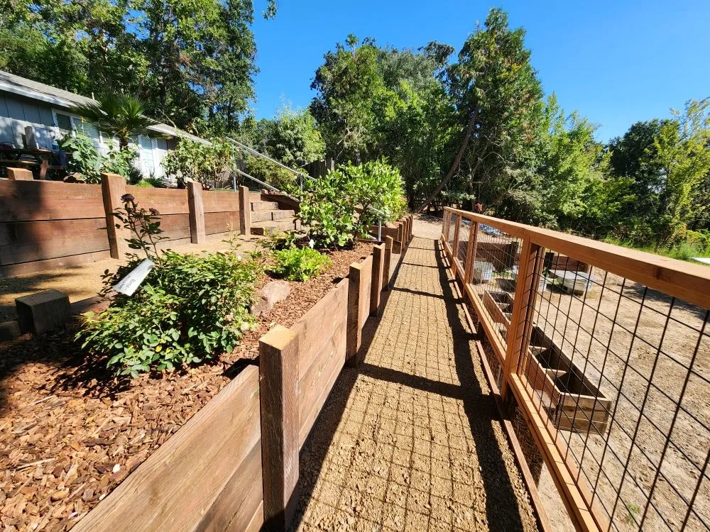 Expert landscaping services for homes in Occidental, CA by Winglewich Landscape Contracting