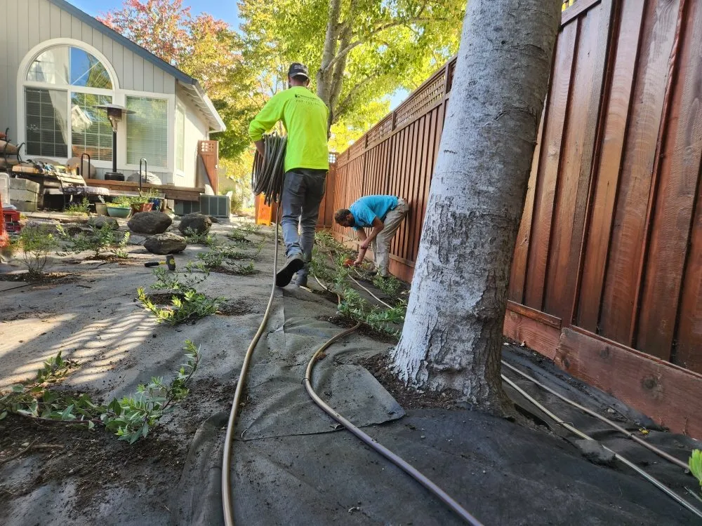 Trusted yard maintenance for outdoor upgrades across Occidental, CA - Winglewich Landscape Contracting