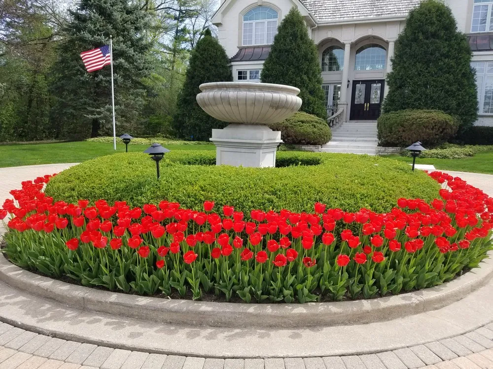 Top-rated yard maintenance for outdoor upgrades across Downers Grove, IL - Wingren Landscape