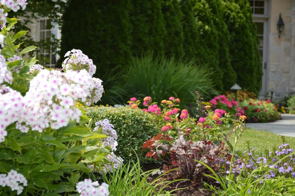 Local yard cleanup service with custom design in Downers Grove, IL by Wingren Landscape