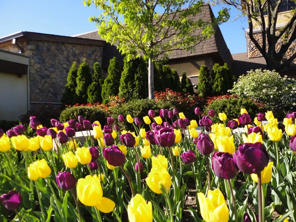 Local landscaping services in Downers Grove, IL by Wingren Landscape