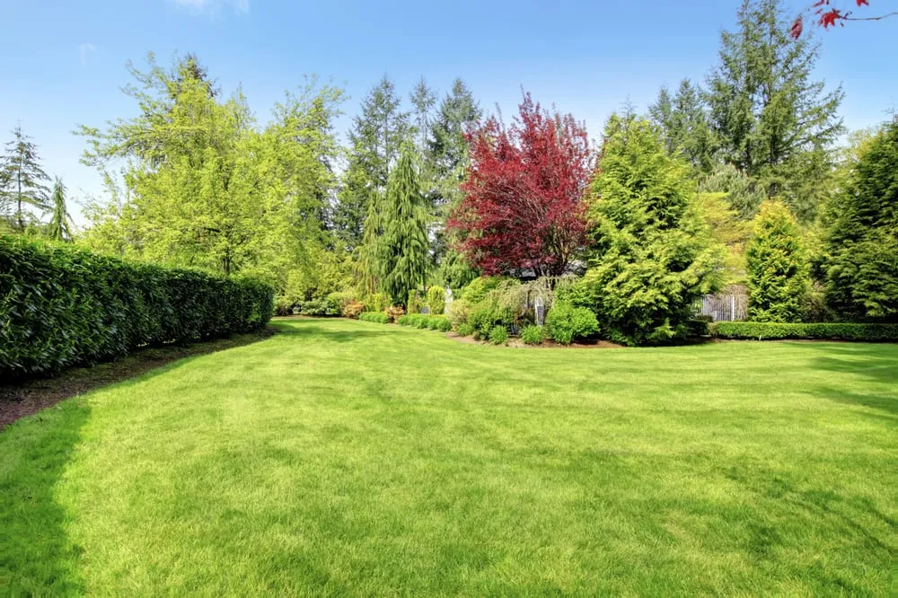 Professional lawn mowing service in Jeddo, MI by Wing's Lawn & Landscape