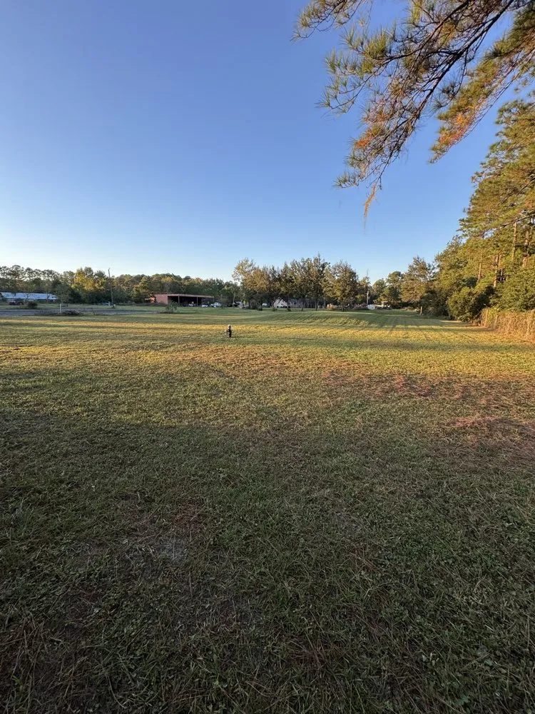 Professional garden landscaping experts serving Orange Park, FL - Wings of Life Lawn Services