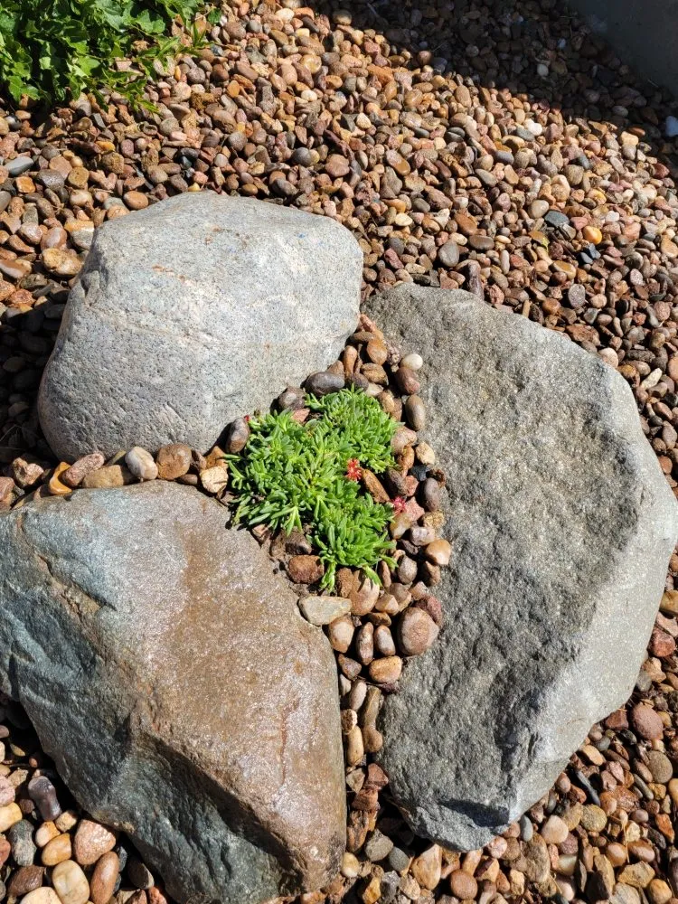 Local landscaping services experts serving Denver, CO - Winkler Irrigation