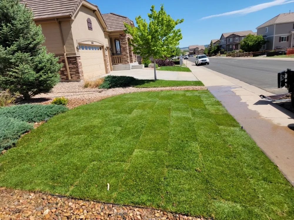 Local lawn mowing service in Denver, CO - Winkler Irrigation