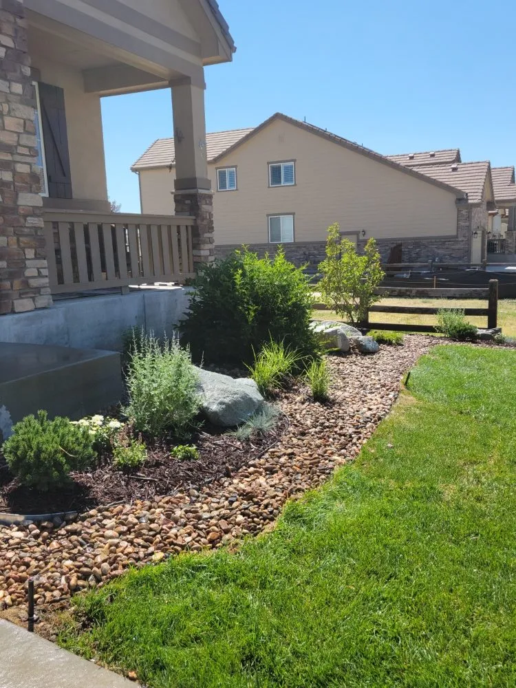 Top-rated yard maintenance in Denver, CO by Winkler Irrigation