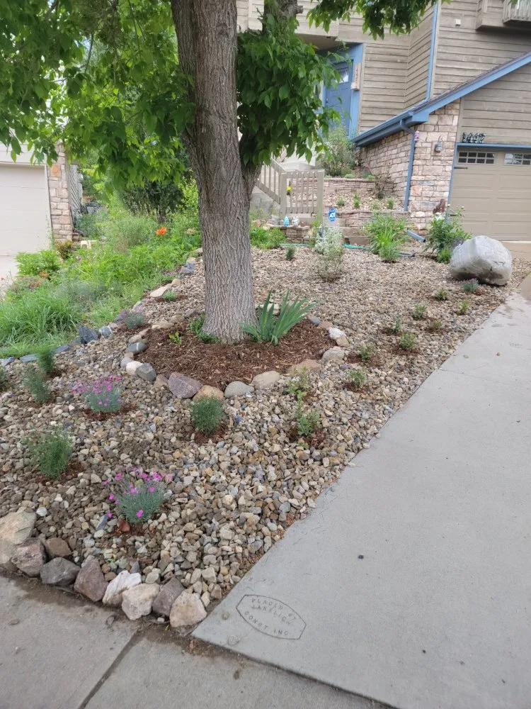 Expert landscape installation experts serving Denver, CO - Winkler Irrigation