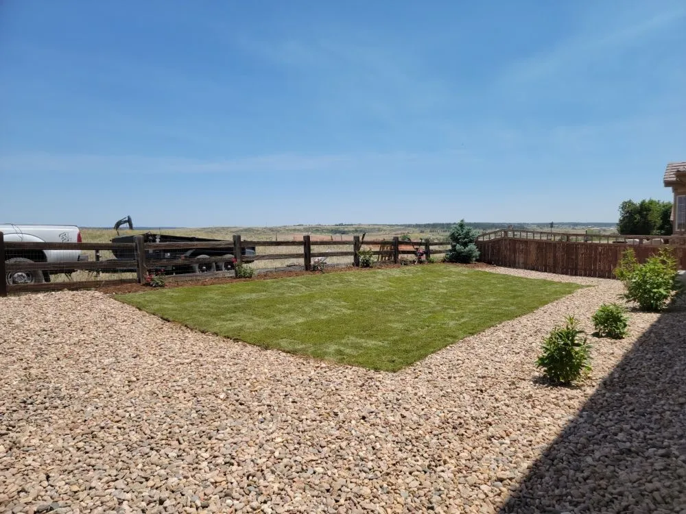 Expert lawn care service experts serving Denver, CO - Winkler Irrigation