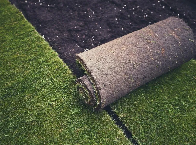 Local residential landscaping for year-round maintenance in Denver, CO by Winkler Irrigation