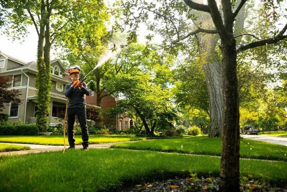 Top-rated lawn care service experts serving Bellwood, IL - Winkler Tree & Lawn Care