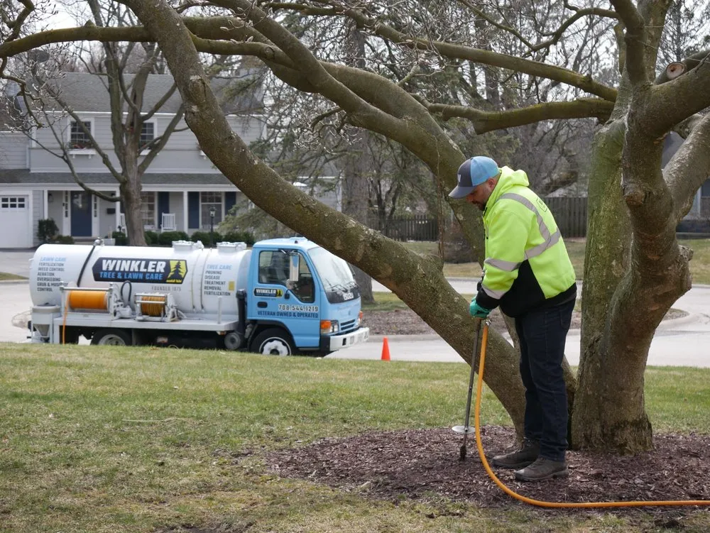 Reliable yard maintenance in Bellwood, IL - Winkler Tree & Lawn Care