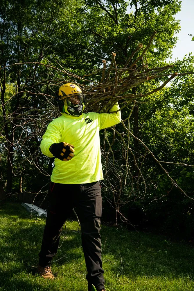 Expert garden landscaping in Bellwood, IL - Winkler Tree & Lawn Care