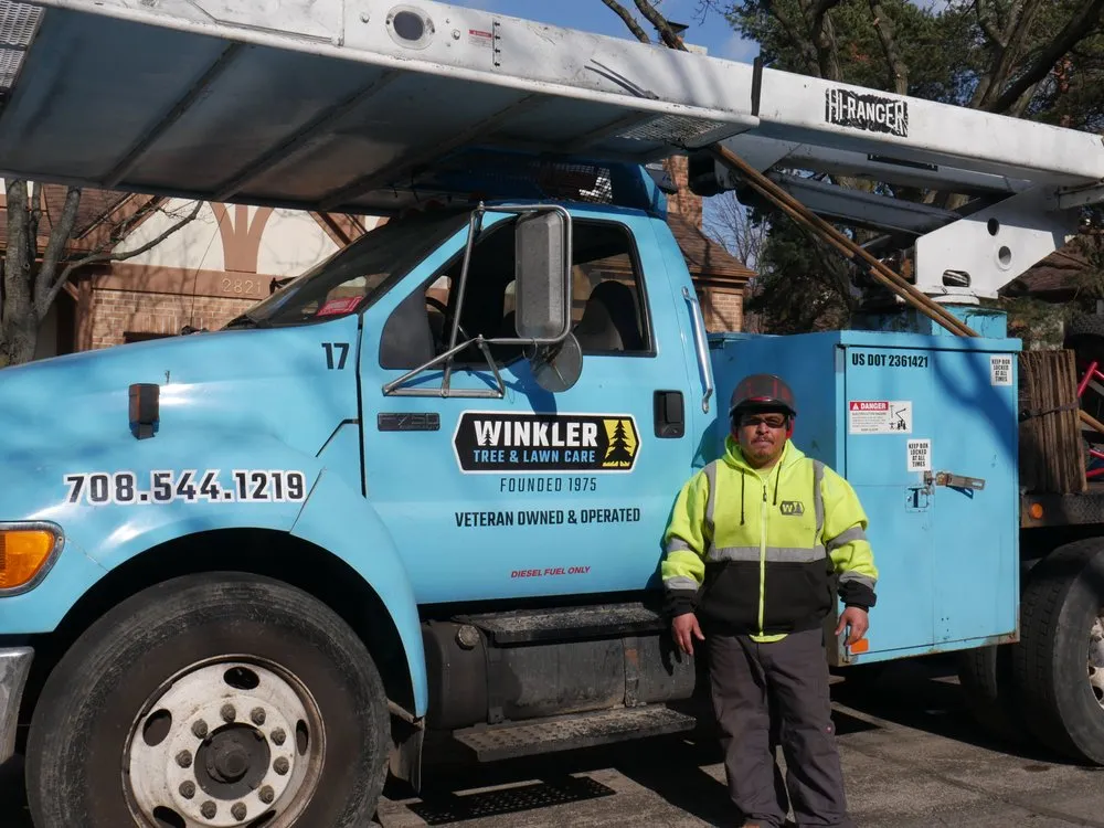 Professional yard cleanup service experts serving Bellwood, IL - Winkler Tree & Lawn Care