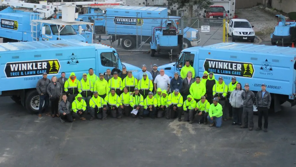 Reliable yard maintenance experts serving Bellwood, IL - Winkler Tree & Lawn Care