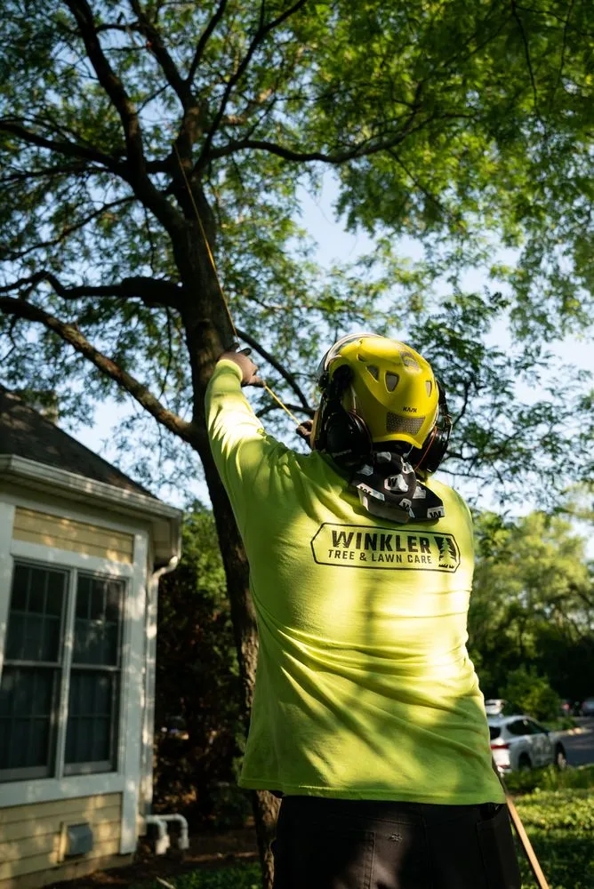 Expert lawn care service near you across Bellwood, IL - Winkler Tree & Lawn Care