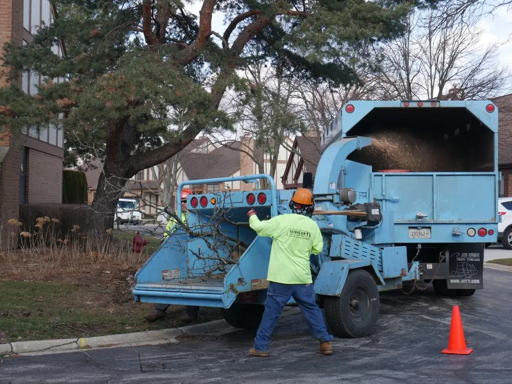 Top-rated landscaping services experts serving Bellwood, IL - Winkler Tree & Lawn Care