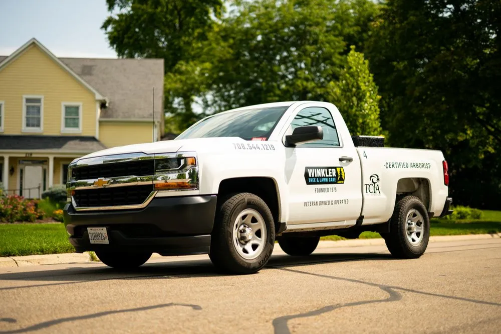 Professional landscape installation experts serving Bellwood, IL - Winkler Tree & Lawn Care