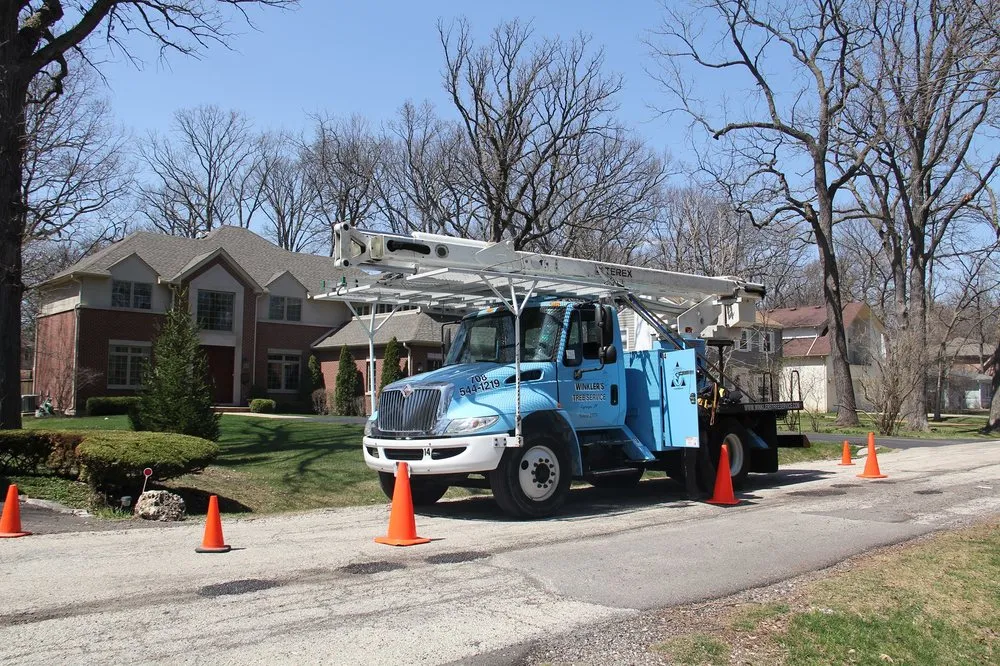 Expert landscape installation in Bellwood, IL by Winkler Tree & Lawn Care