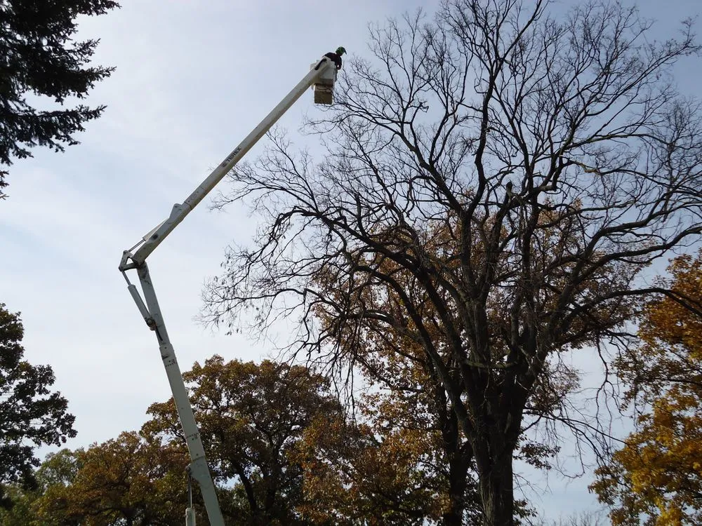 Trusted lawn care service experts serving Bellwood, IL - Winkler Tree & Lawn Care