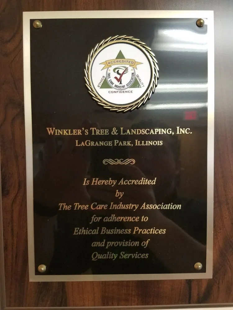 Top-rated yard maintenance experts serving Bellwood, IL - Winkler Tree & Lawn Care