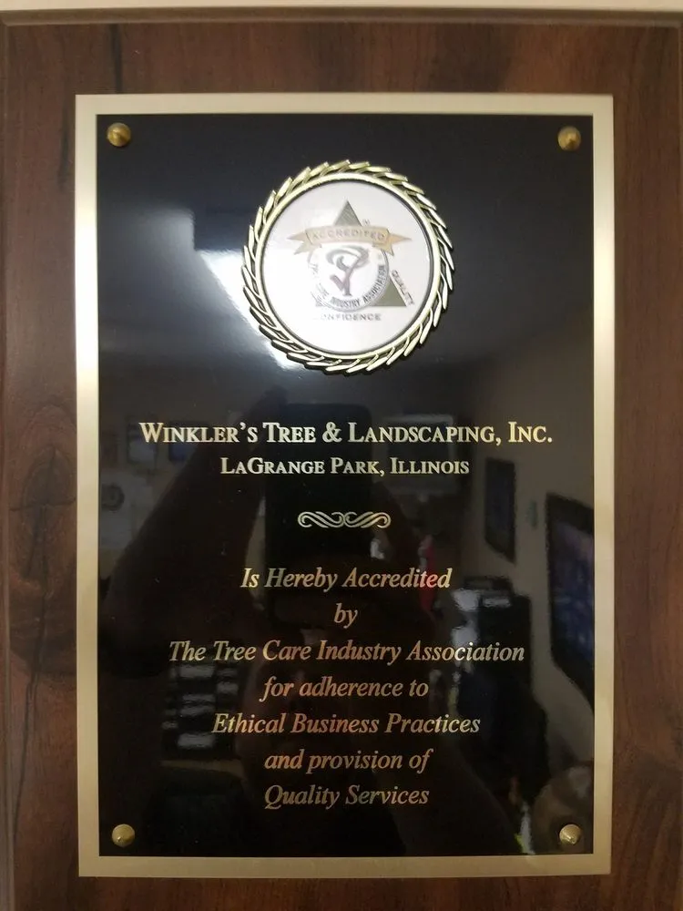 Trusted yard cleanup service experts serving Bellwood, IL - Winkler Tree & Lawn Care