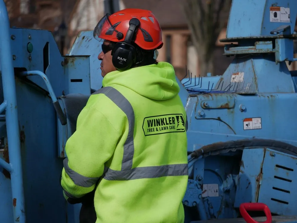 Top-rated outdoor landscaping for homes in Bellwood, IL by Winkler Tree & Lawn Care