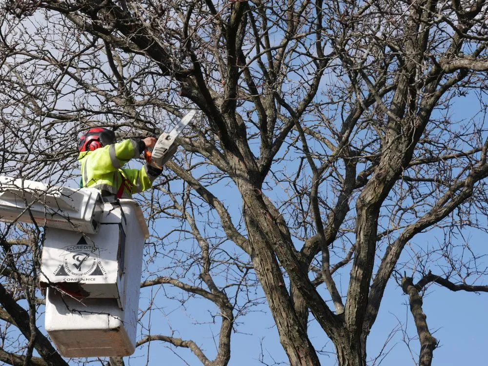 Top-rated garden landscaping in Bellwood, IL - Winkler Tree & Lawn Care