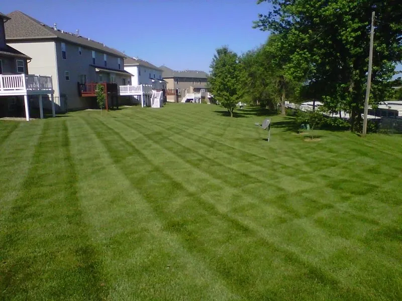 Affordable lawn care service experts serving Platte City, MO - Winkler's Lawn Care & Landscape