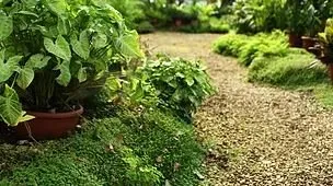 Trusted yard cleanup service in Fairfield, IA by Winn