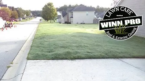 Professional outdoor landscaping in Douglasville, GA by Winn Pro Turf Management