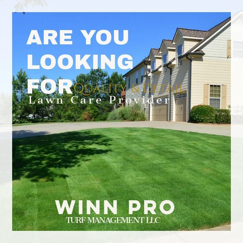 Top-rated yard maintenance in Douglasville, GA by Winn Pro Turf Management