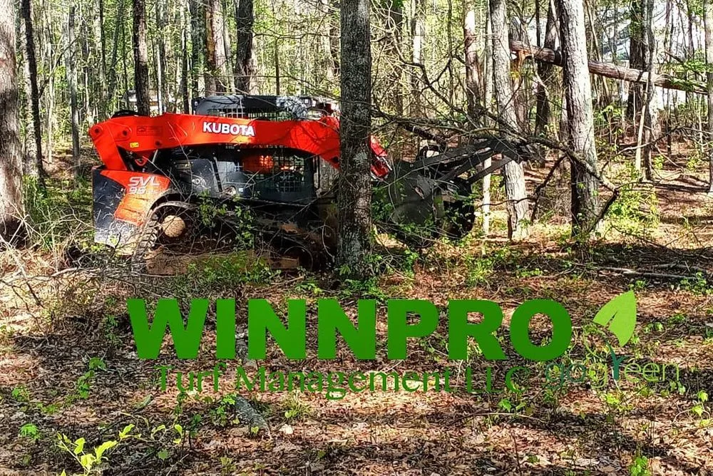 Custom residential landscaping experts serving Douglasville, GA - Winn Pro Turf Management