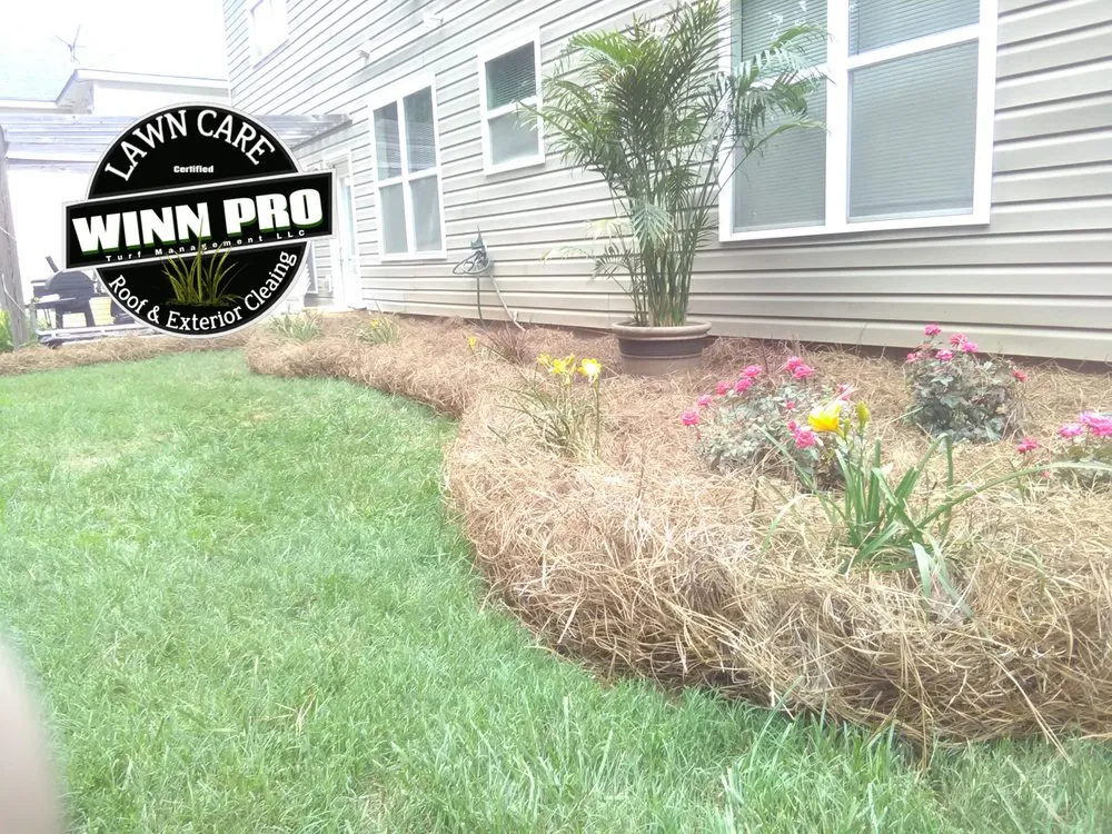Custom landscape installation in Douglasville, GA by Winn Pro Turf Management
