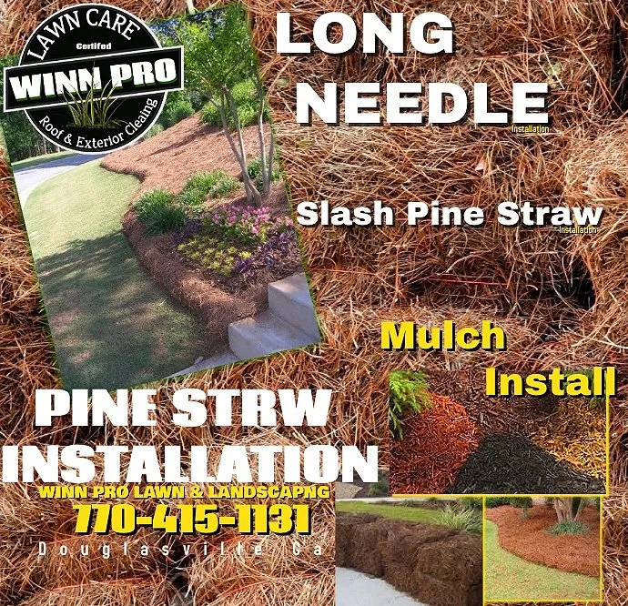 Professional yard maintenance in Douglasville, GA by Winn Pro Turf Management