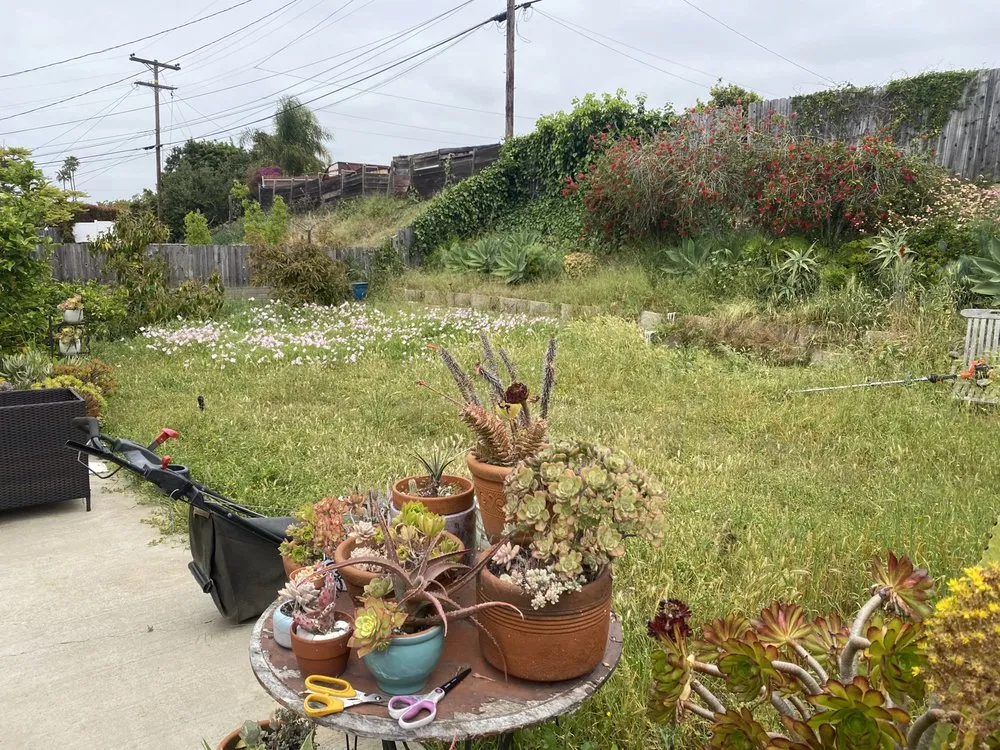 Reliable landscape installation for outdoor upgrades in San Diego, CA by WINN Services